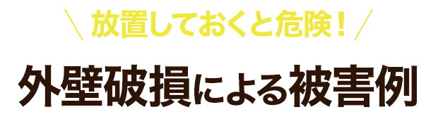 外壁は損による被害の例
